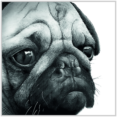 mops1